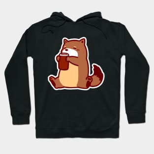 Snugglepaws Raccoon Hoodie